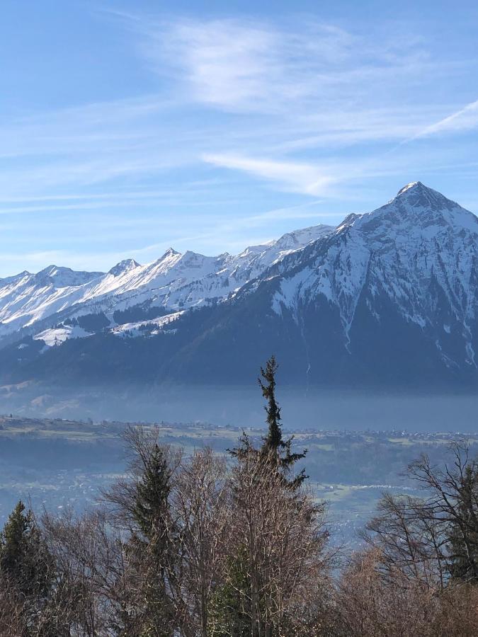 Wohnung Mit See Und Bergsicht Im Vier Sterne Hotel Beatenberg Eksteriør billede