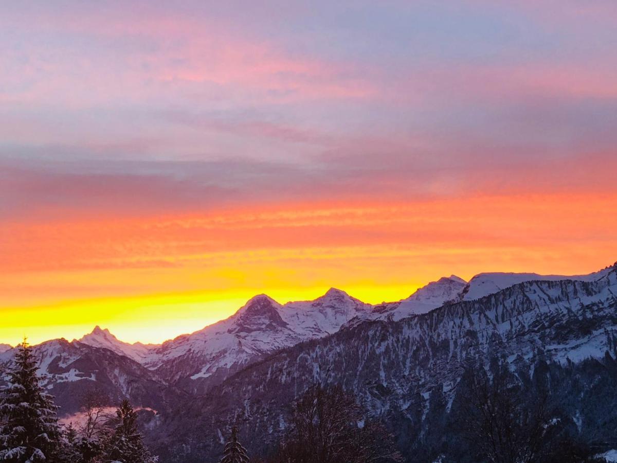 Wohnung Mit See Und Bergsicht Im Vier Sterne Hotel Beatenberg Eksteriør billede