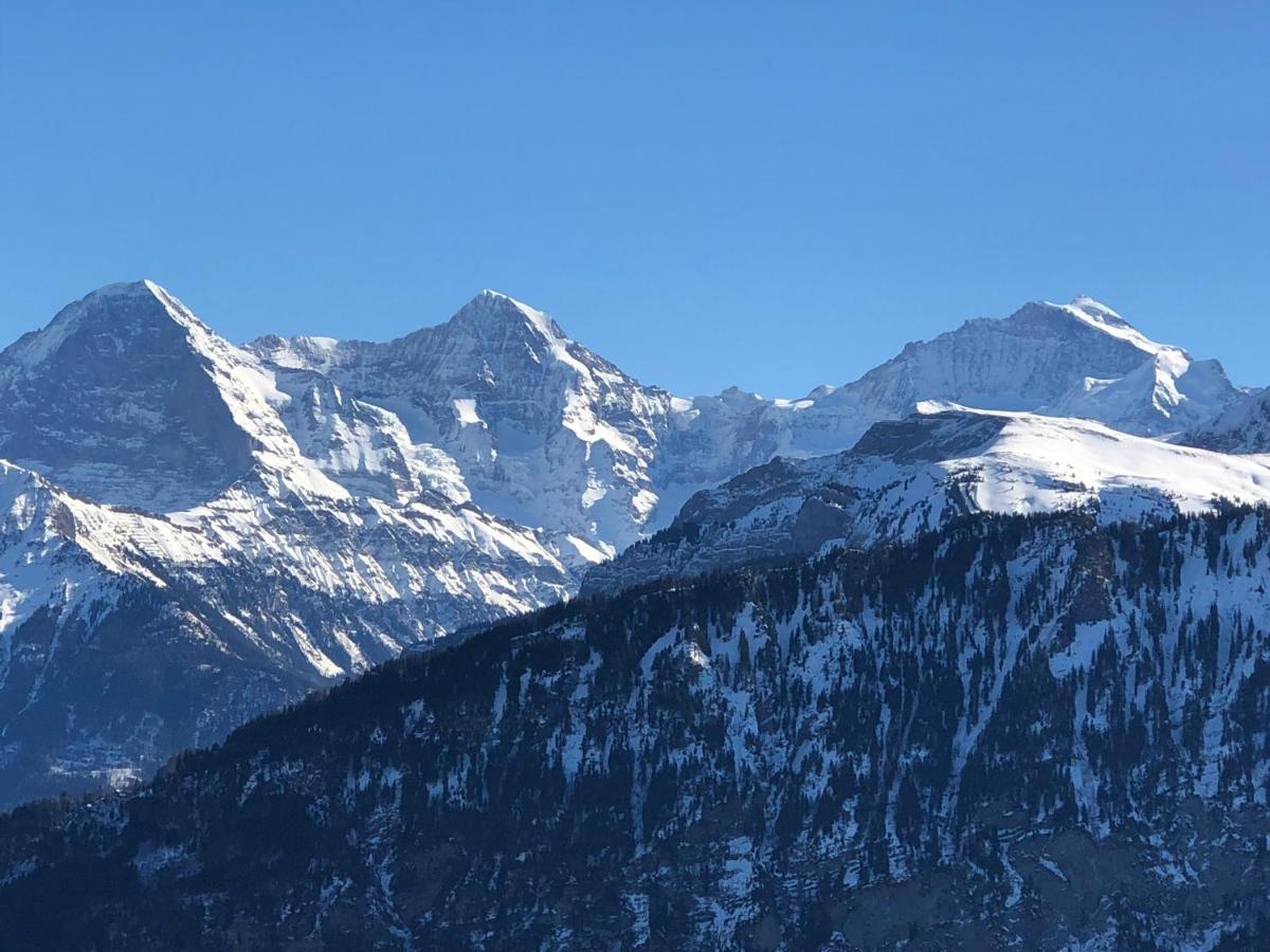 Wohnung Mit See Und Bergsicht Im Vier Sterne Hotel Beatenberg Eksteriør billede