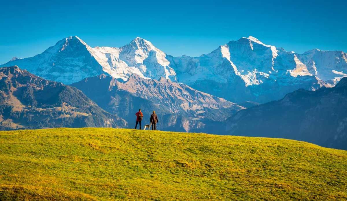 Wohnung Mit See Und Bergsicht Im Vier Sterne Hotel Beatenberg Eksteriør billede